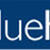 Bluehost.com logo