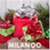 Milanoo logo