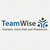 TeamWise logo