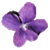 Violet UML Editor logo