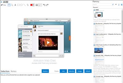 AIM - Flamory bookmarks and screenshots