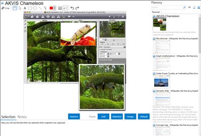 AKVIS Chameleon - Flamory bookmarks and screenshots