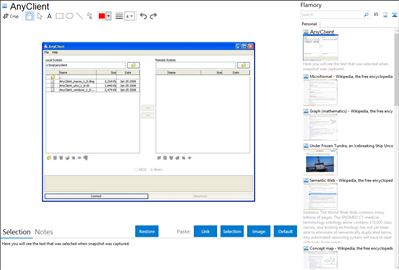 AnyClient - Flamory bookmarks and screenshots