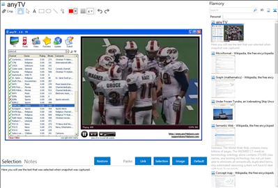 anyTV - Flamory bookmarks and screenshots