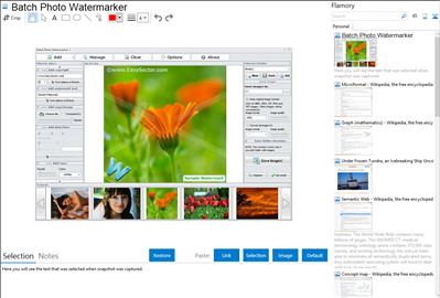 Batch Photo Watermarker - Flamory bookmarks and screenshots
