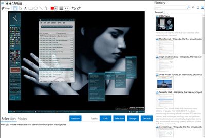 BB4Win - Flamory bookmarks and screenshots