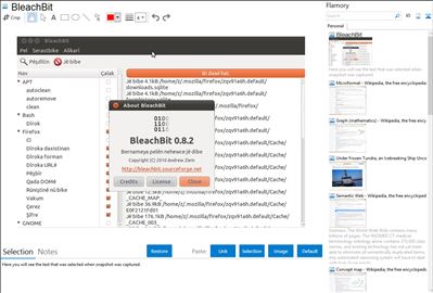 BleachBit - Flamory bookmarks and screenshots