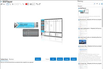 BSPlayer - Flamory bookmarks and screenshots