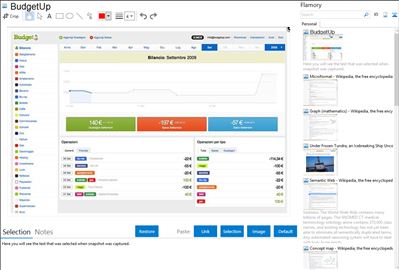 BudgetUp - Flamory bookmarks and screenshots