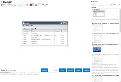 Bvckup - Flamory bookmarks and screenshots
