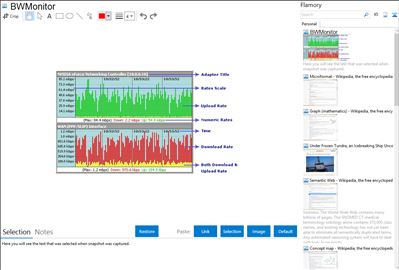 BWMonitor - Flamory bookmarks and screenshots