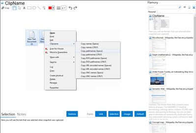 ClipName - Flamory bookmarks and screenshots