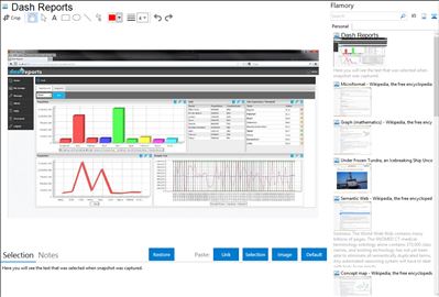 Dash Reports - Flamory bookmarks and screenshots