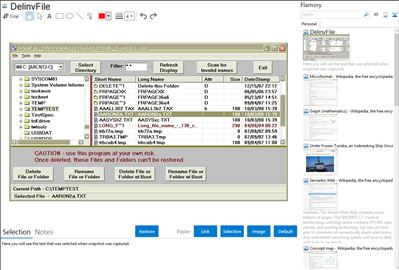 DelinvFile - Flamory bookmarks and screenshots