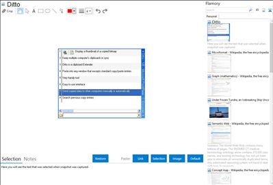 Ditto - Flamory bookmarks and screenshots