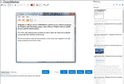 DownMarker - Flamory bookmarks and screenshots