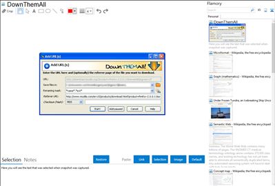 DownThemAll - Flamory bookmarks and screenshots