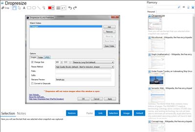 Dropresize - Flamory bookmarks and screenshots
