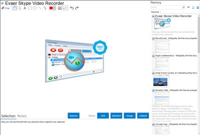 Evaer Skype Video Recorder - Flamory bookmarks and screenshots