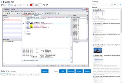 EverEdit - Flamory bookmarks and screenshots