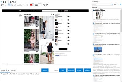 FFFFLASH - Flamory bookmarks and screenshots