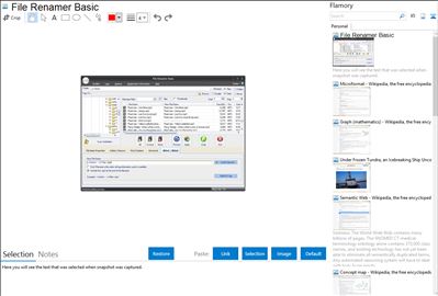 File Renamer Basic - Flamory bookmarks and screenshots