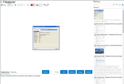 Filealyzer - Flamory bookmarks and screenshots