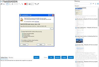 FileASSASSIN - Flamory bookmarks and screenshots
