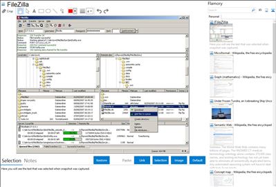 FileZilla - Flamory bookmarks and screenshots