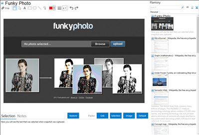 Funky Photo - Flamory bookmarks and screenshots