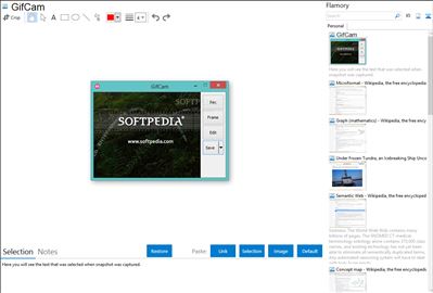 GifCam - Flamory bookmarks and screenshots