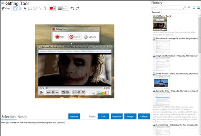 Giffing Tool - Flamory bookmarks and screenshots