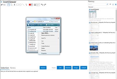 IconViewer - Flamory bookmarks and screenshots