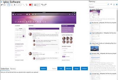 Igloo Software - Flamory bookmarks and screenshots