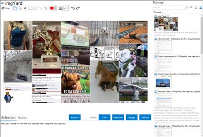 imgYard - Flamory bookmarks and screenshots