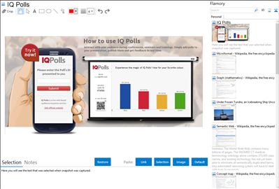 IQ Polls - Flamory bookmarks and screenshots