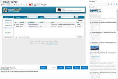 IssueBurner - Flamory bookmarks and screenshots