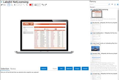 Labs64 NetLicensing - Flamory bookmarks and screenshots