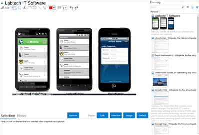 Labtech IT Software - Flamory bookmarks and screenshots