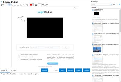 LoginRadius - Flamory bookmarks and screenshots