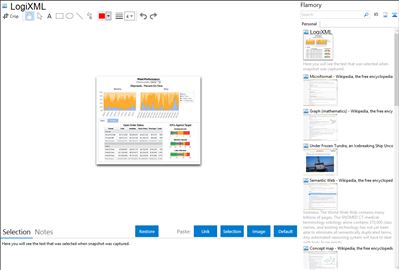 LogiXML - Flamory bookmarks and screenshots