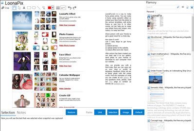 LoonaPix - Flamory bookmarks and screenshots