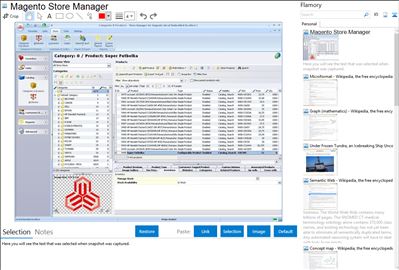 Magento Store Manager - Flamory bookmarks and screenshots