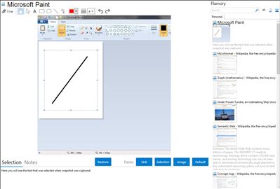 Microsoft Paint - Flamory bookmarks and screenshots