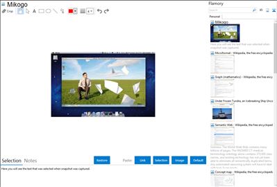 Mikogo - Flamory bookmarks and screenshots
