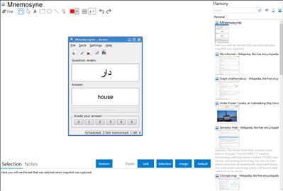 Mnemosyne - Flamory bookmarks and screenshots