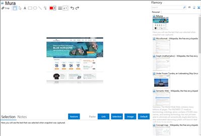 Mura - Flamory bookmarks and screenshots