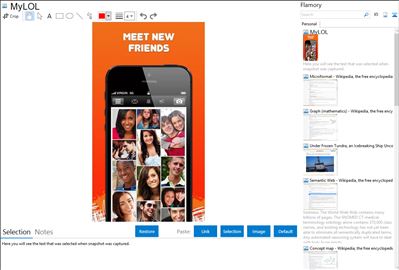 MyLOL - Flamory bookmarks and screenshots