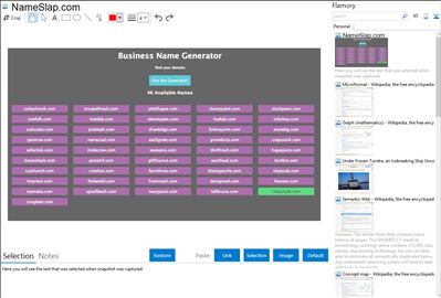 NameSlap.com - Flamory bookmarks and screenshots