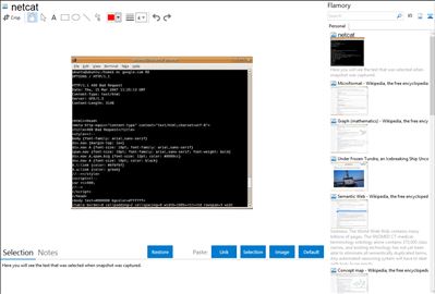netcat - Flamory bookmarks and screenshots